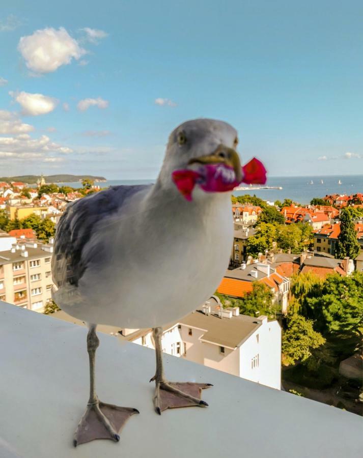 Przy Plazy Z Widokiem Na Morze